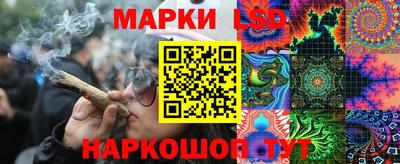тгк Новодвинск