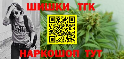 тгк Новодвинск