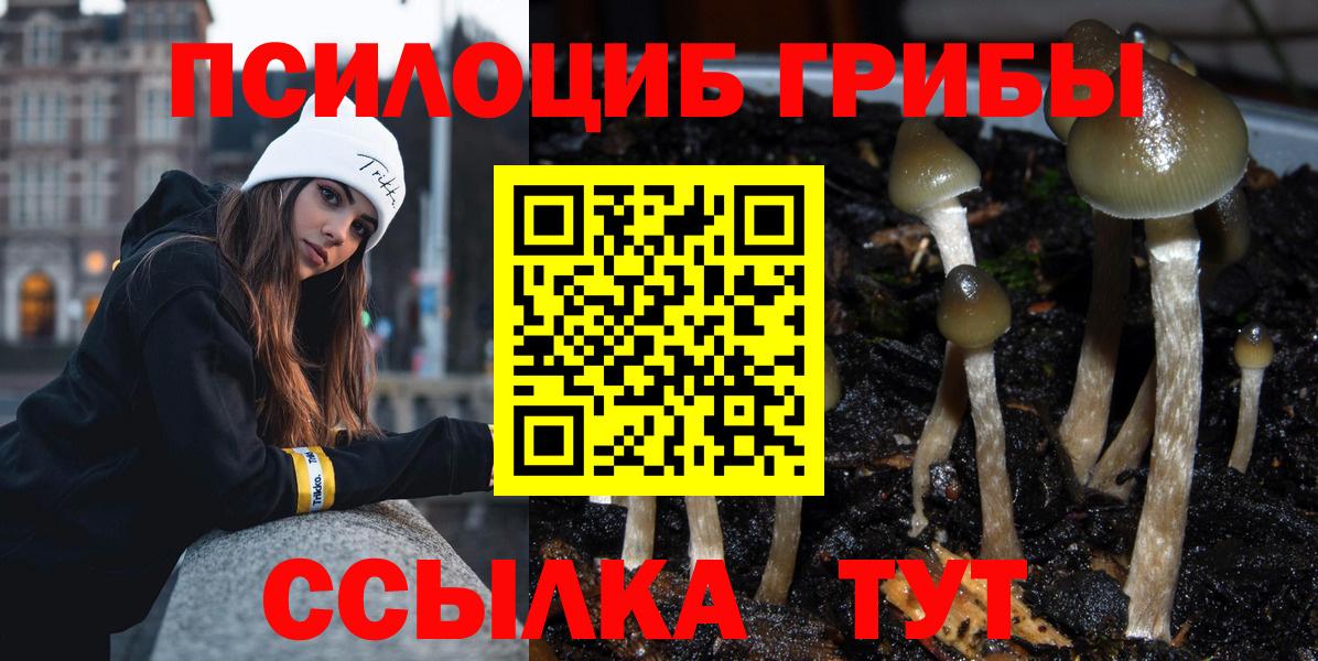 Ухта  Псилоцибиновые грибы MAGIC MUSHROOMS  купить  цена  Вход с VPN 