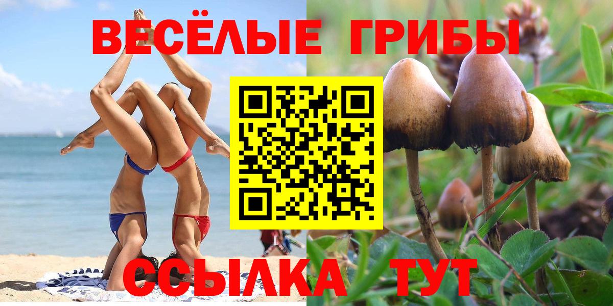 Псилоцибиновые грибы мухоморы Ухта